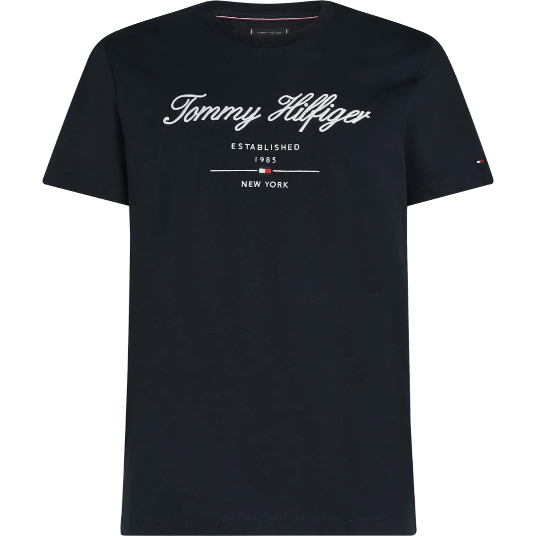 Ανδρική μπλούζα Tommy Hilfiger